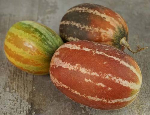 Transparent Fresh Muskmelon