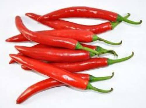 Fresh Red Chilli