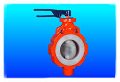 Butterfly Valve