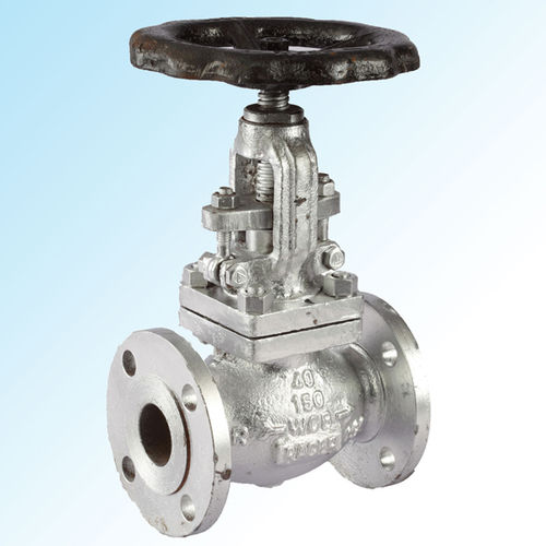 Globe Valve