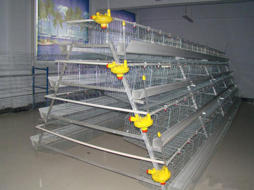 Steel Poultry Cage For Layer Chicken Farm