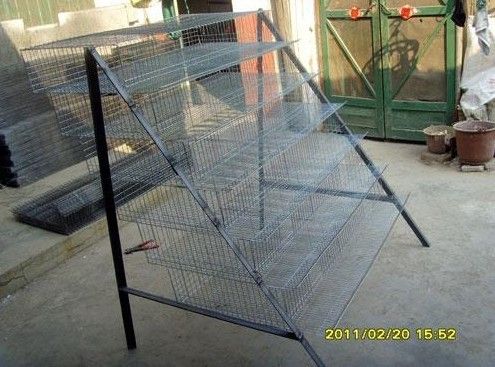 Quail Cages