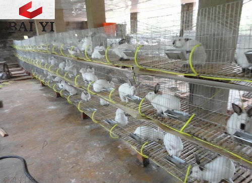 Wire Mesh Rabbit Cages For Rabbit Farm