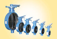 Butterfly Valve Integrally Moulded Rubber Lined