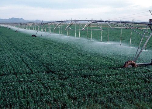 Landscape Irrigation System