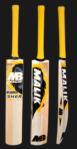 Willow Cricket Bat