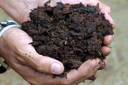 Organic Manure