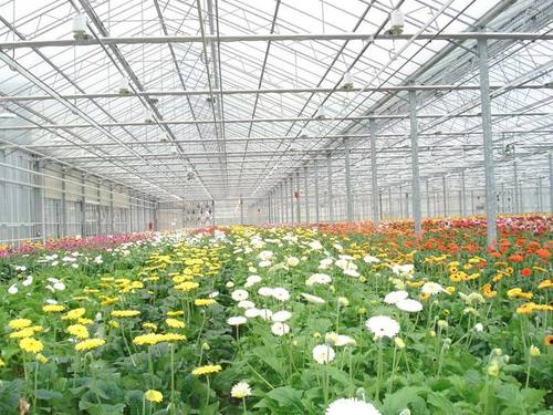Greenhouse System