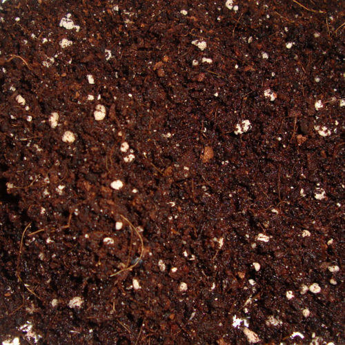 450 Gram M-Garden Mix Potting Soil