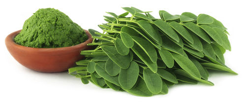 Dried Moringa (Drumsticks) Leaves Powder