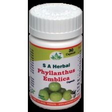 Phyllanthus Emblica Capsule