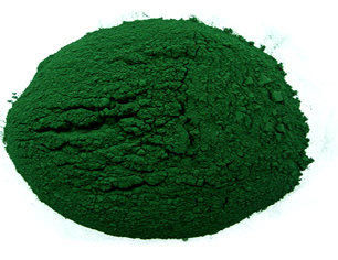 Dried Spirulina Powder