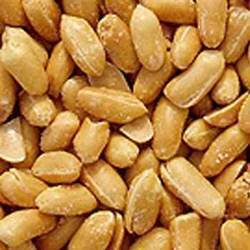 Roasted Peanuts