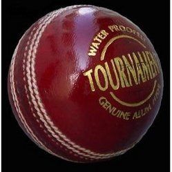 SG Cricket Ball