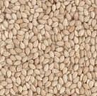 Natural Sesame Seeds