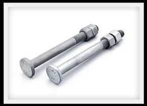 Step Bolts