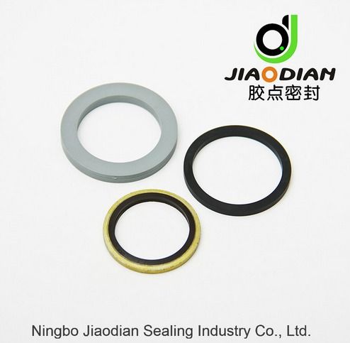 Viton Gasket Ring