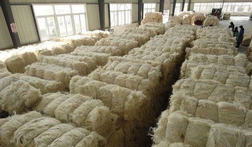 Natural And Raw Sisal Fiber