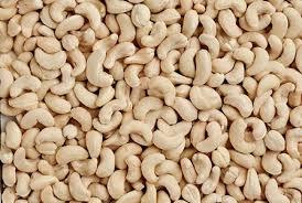 Prime Cashews (Pi-10)