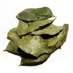Dehydreted Curry Leaves