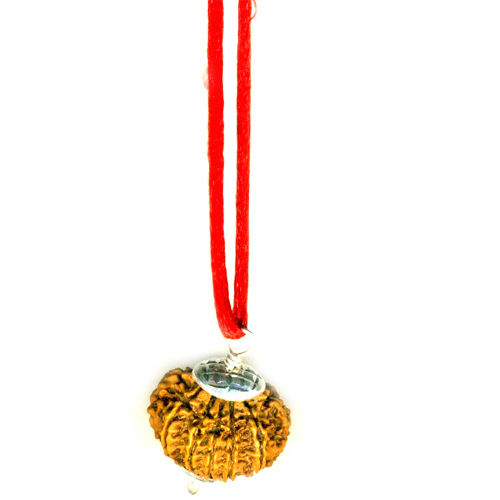 Hanuman Kavach Rudraksha Mala