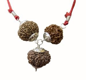 Kaal Sarp Dosh Rudraksha Mala