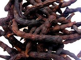 जाइलोपिया एथियोपिका