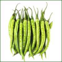 Green Chilli