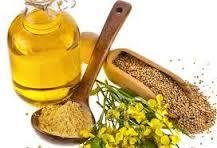 Organic Mustard Oil