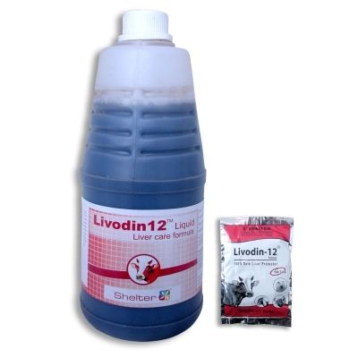 Livodin-12 Liquid and Tablets