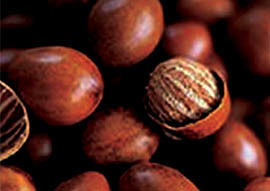 Shea Nuts Admixture (%): Admixture A   1% Maximum