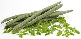 Moringa