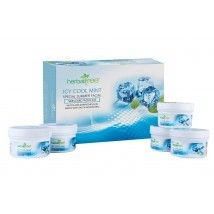 Icy Cool Mint Facial Kit