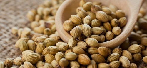 Coriander Seeds