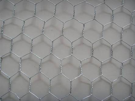 Galvanized Wire Netting