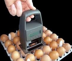 Lcd Display Eggs Printer