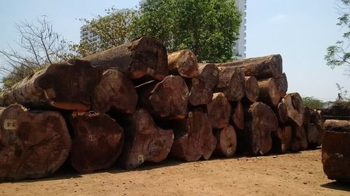 Teak Wood Lumber