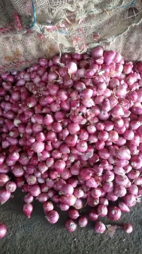 Fresh Red Onion