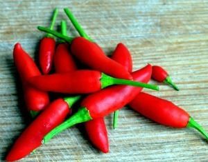 RED Chilli