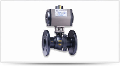 2 Piece Ball Valve