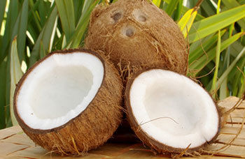 Coconut