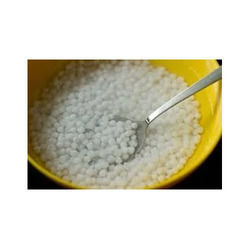 High Quality Sago Seed