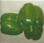 Green Capsicum