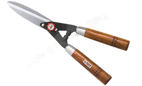 Hedge Shears