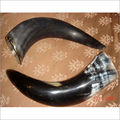 Decorative Drinking Horn