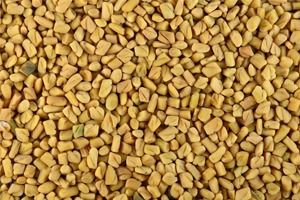 Fenugreek Seed