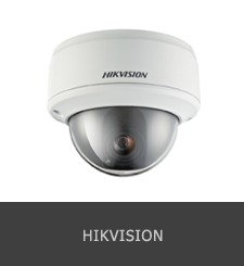Analog And Ip Cameras