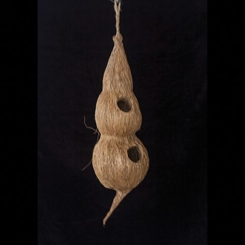Coconut Craft Weaver Bird Nest
