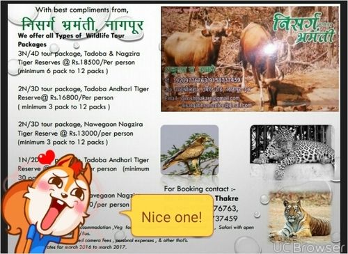 2 Night And 3 Days Tadoba Wildlife Tour Service