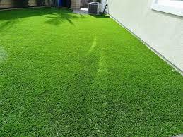 Artificial Grasses